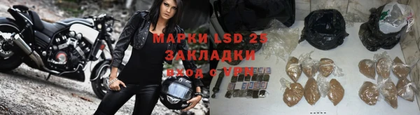 PSILOCYBIN Мегион