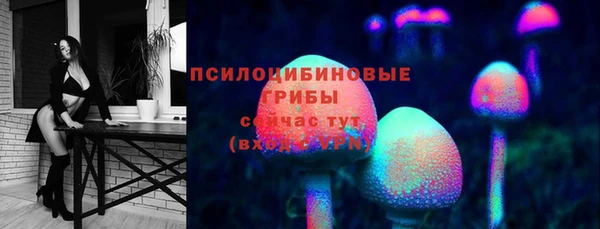 PSILOCYBIN Мегион