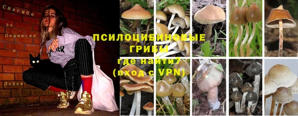 PSILOCYBIN Мегион