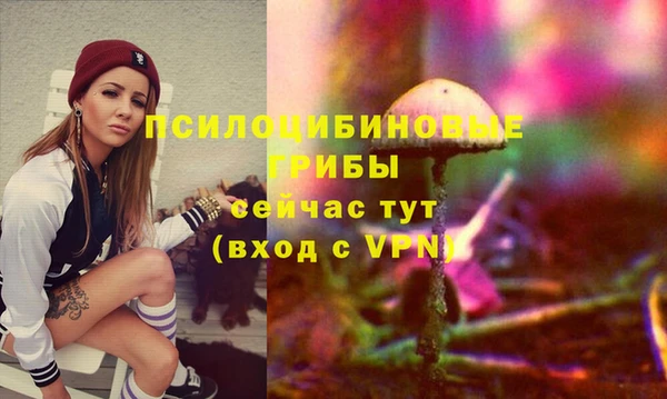 PSILOCYBIN Мегион