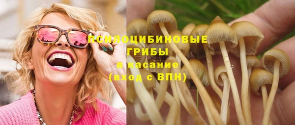 стафф Магас