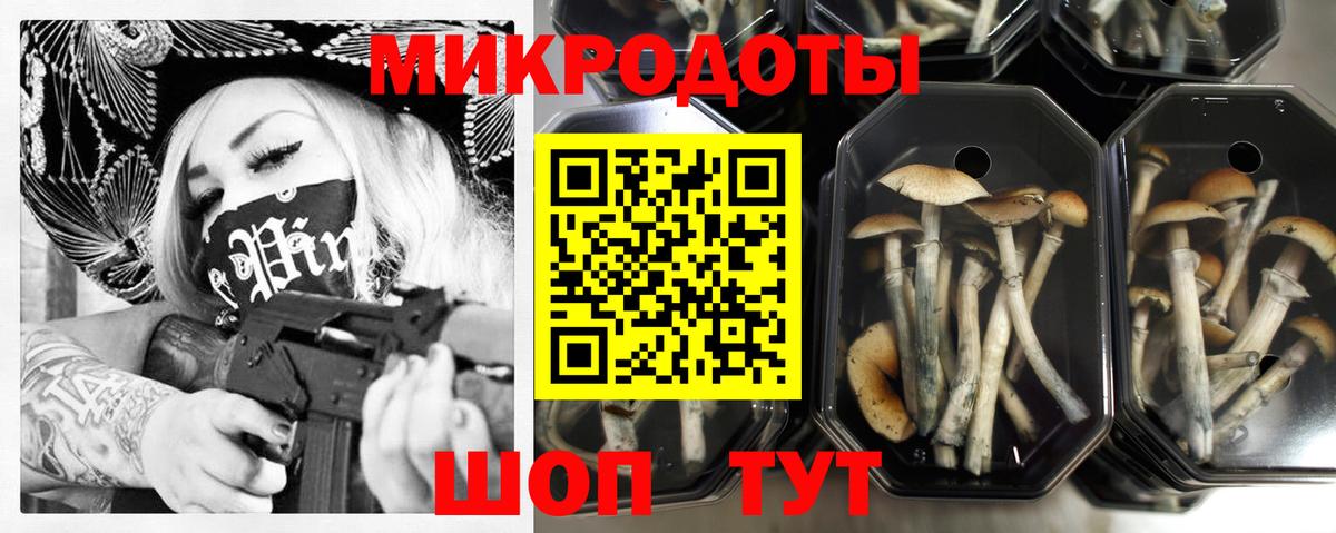 Галлюциногенные грибы GOLDEN TEACHER Новоалександровск