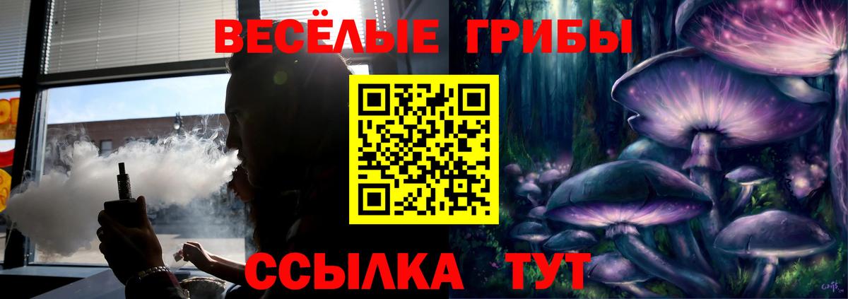 Псилоцибиновые грибы Psilocybine cubensis  сколько стоит  Новоалександровск  Вход с VPN 